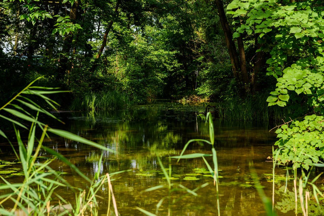 Szelagowka Sorkwity
